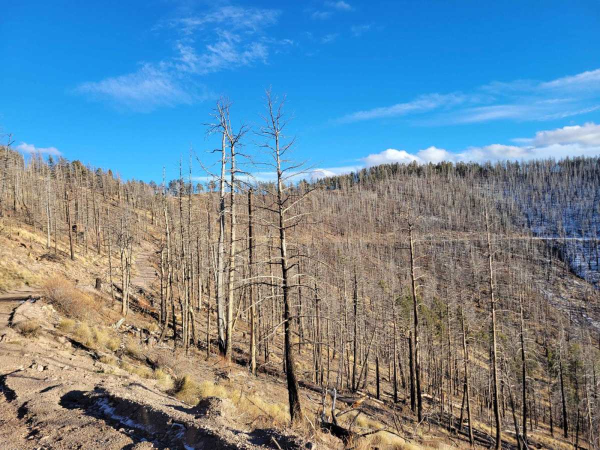 Tower Peak via Rosedale Road trail photo