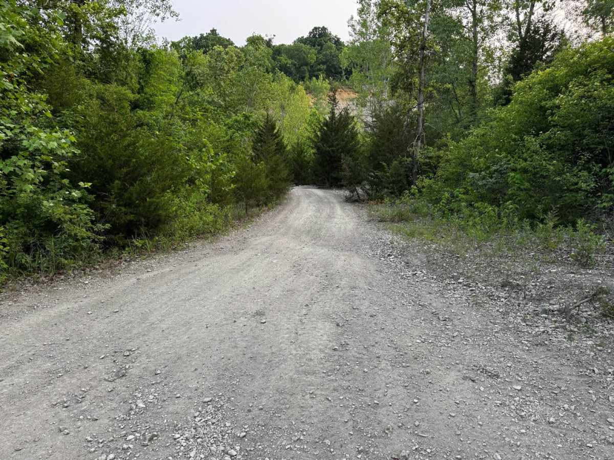 Green 161 trail photo