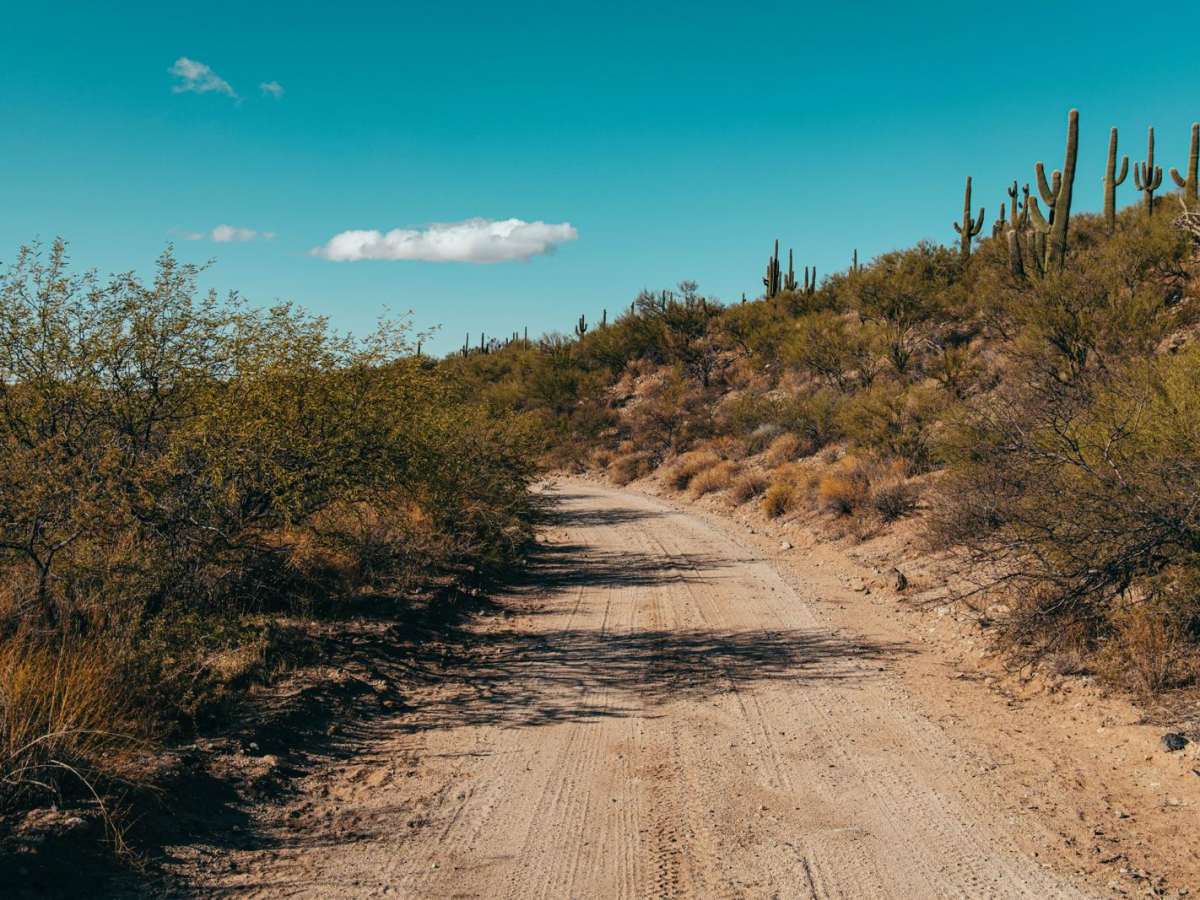 Angels Ranch Road photo 5