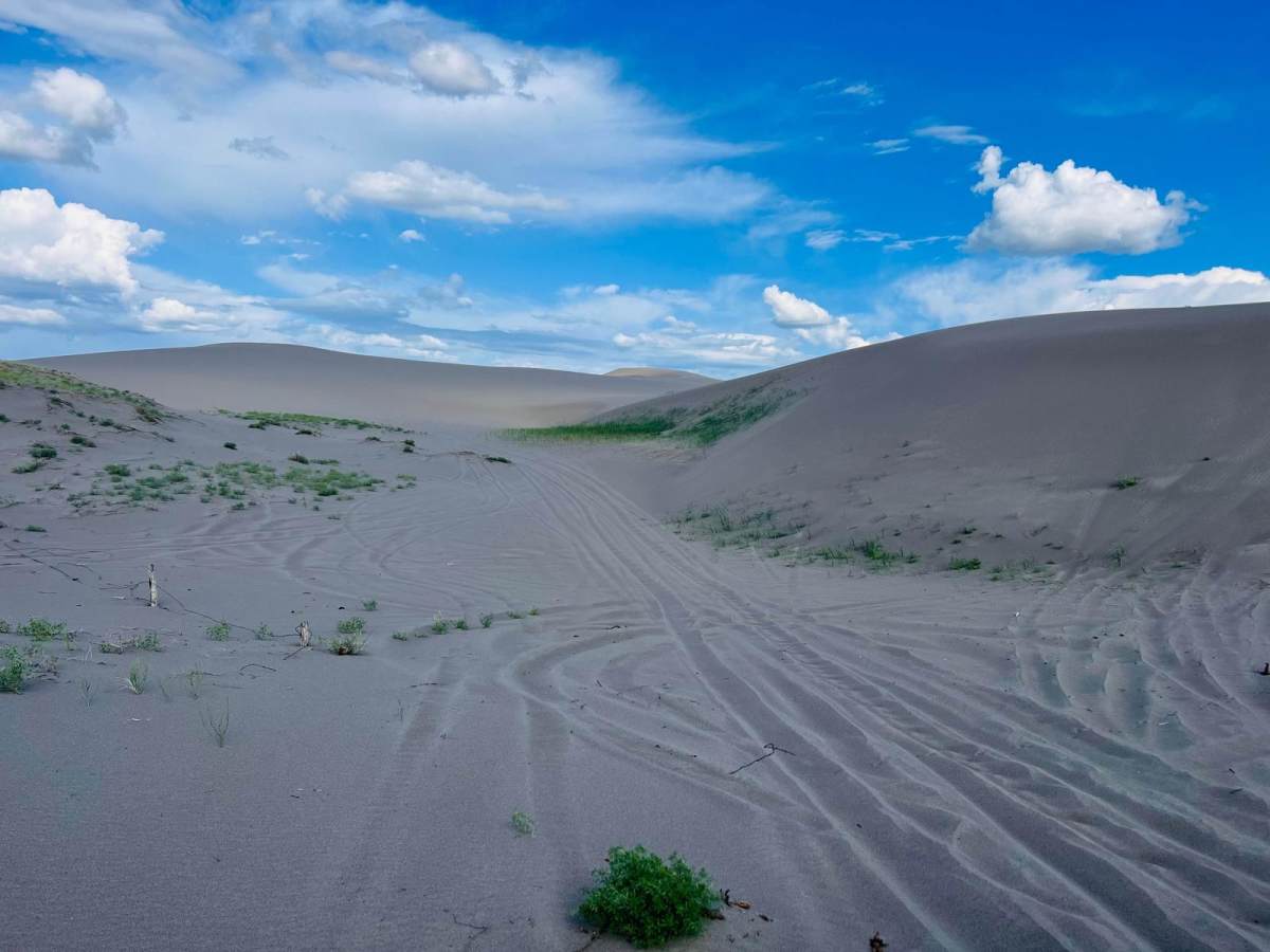 St. Anthony Sand Dunes Western Access photo 5