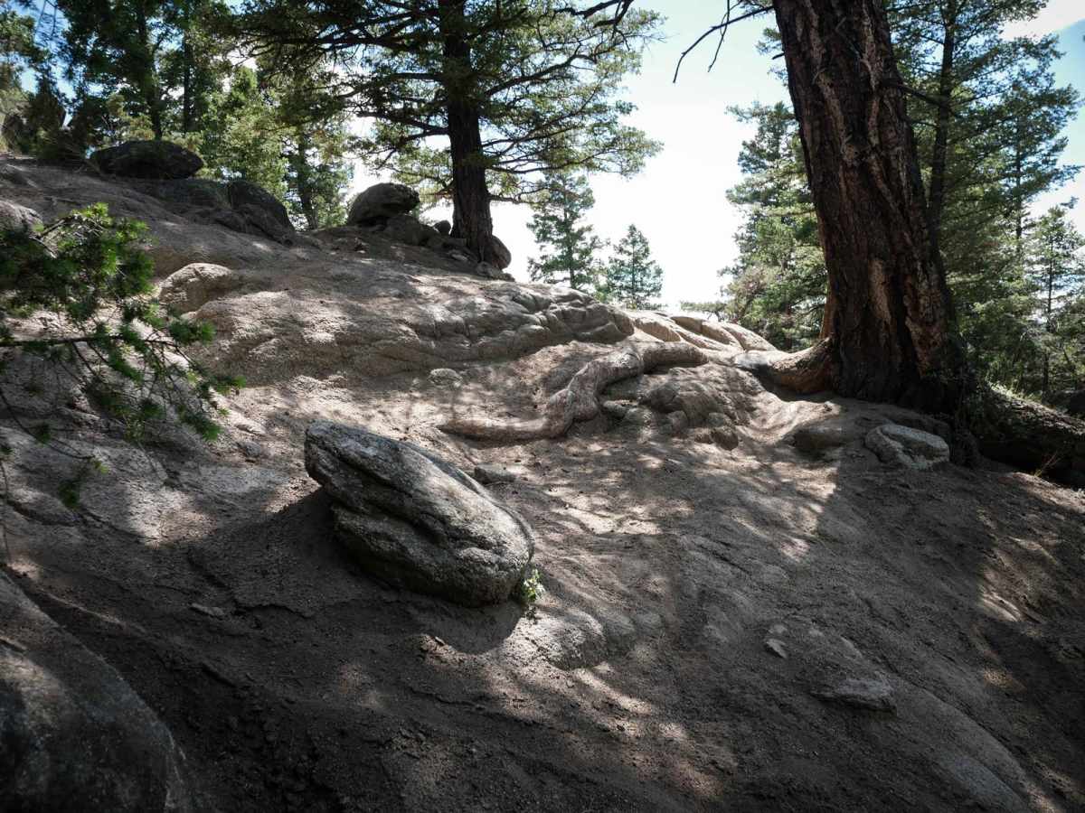 BLM 20 photo 4