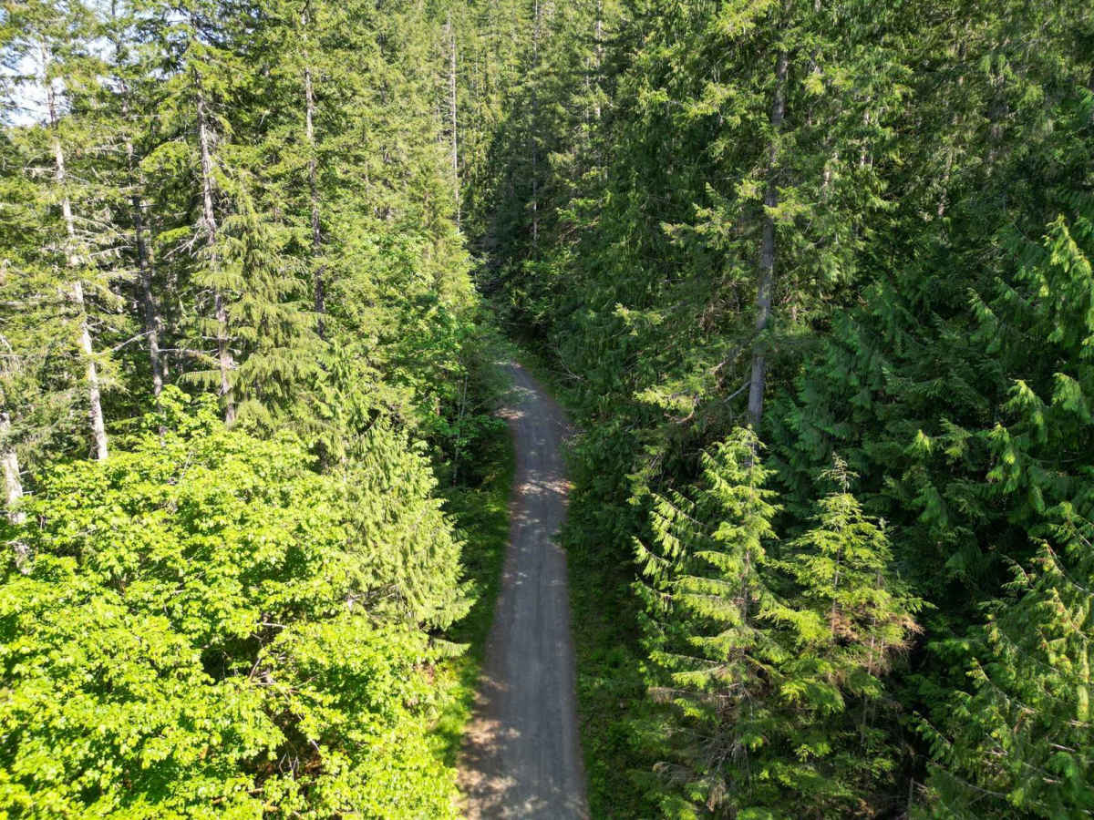 Fulton Creek Road to Murhut Falls photo 5