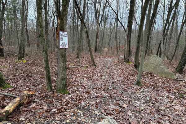 ATV Trail 80