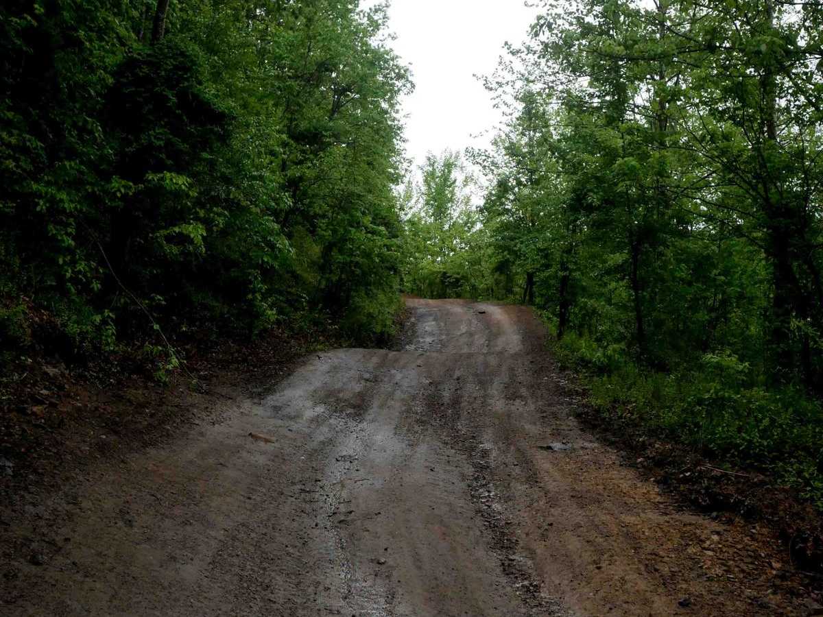IB 10 photo 2