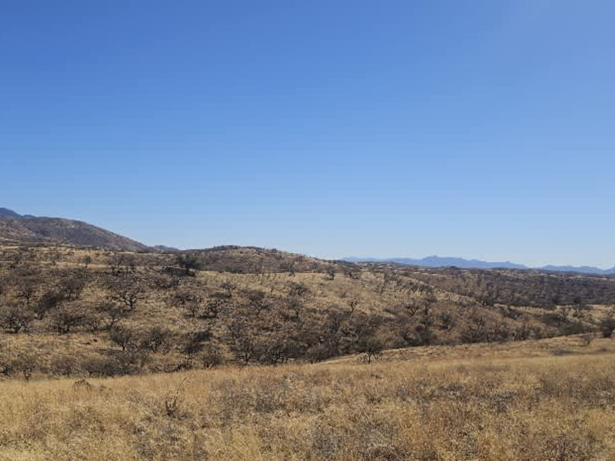 Grande Forest Road photo 6