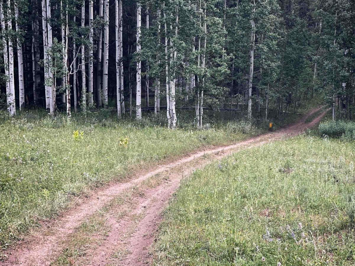Elkhorn Trail North photo 6