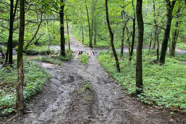 Bridge Trail
