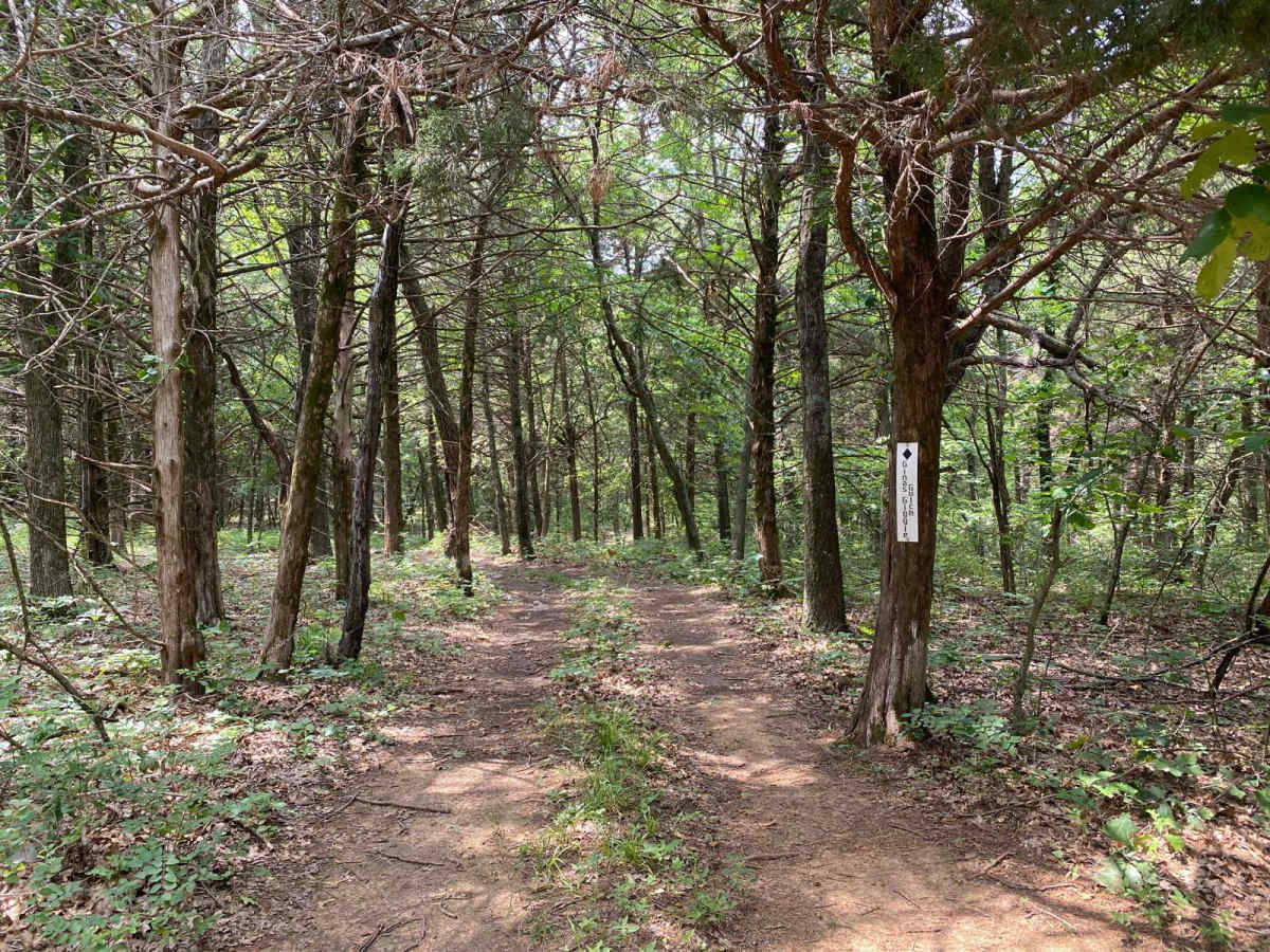 Gina's Giggle Gulch trail photo