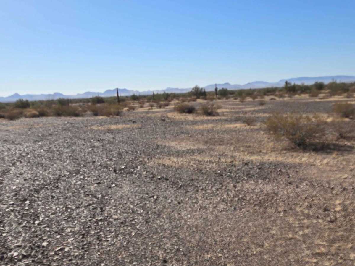 Valley Run trail photo