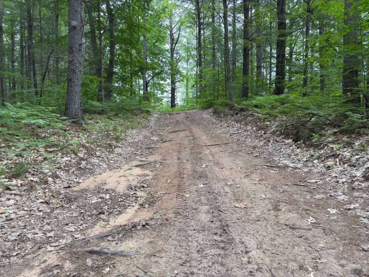 Ransom Lake Trail photo 6
