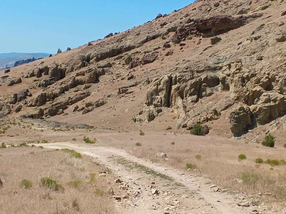 Honeycomb Wilderness Trail photo 3