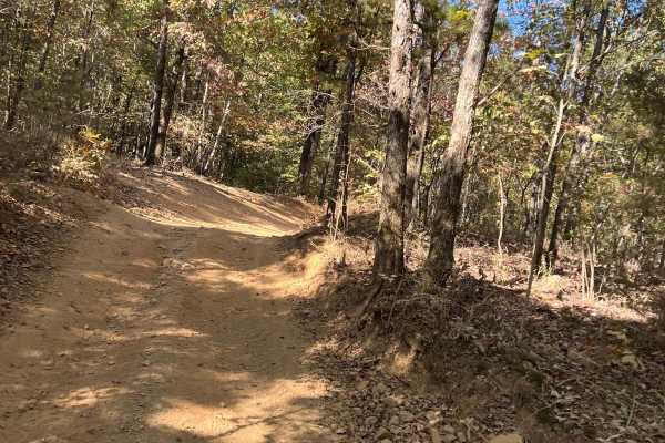 Wolf Pen Gap 313