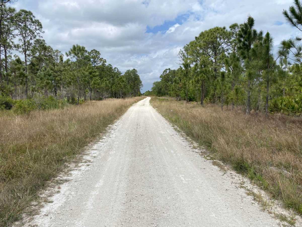 Albritton Loop photo 5
