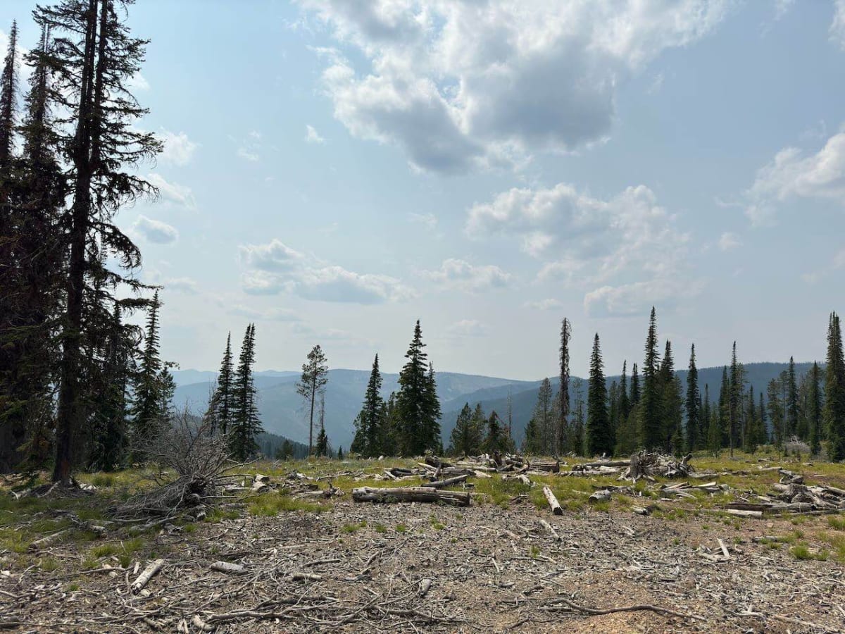 Anderson Mountain Trail photo 2