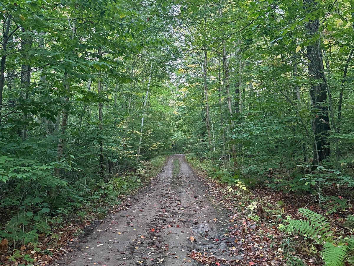 FS 2004 trail photo