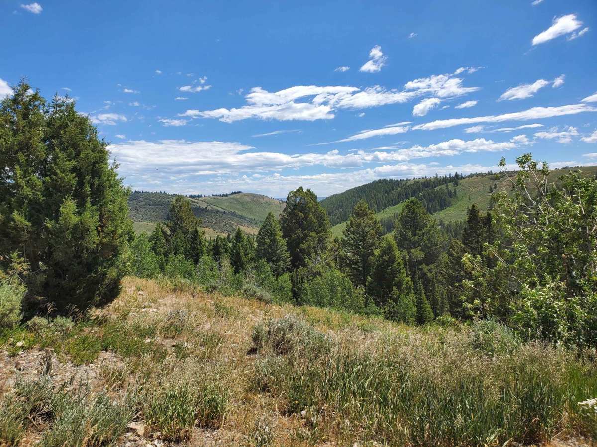 Beaver Green Canyon photo 3