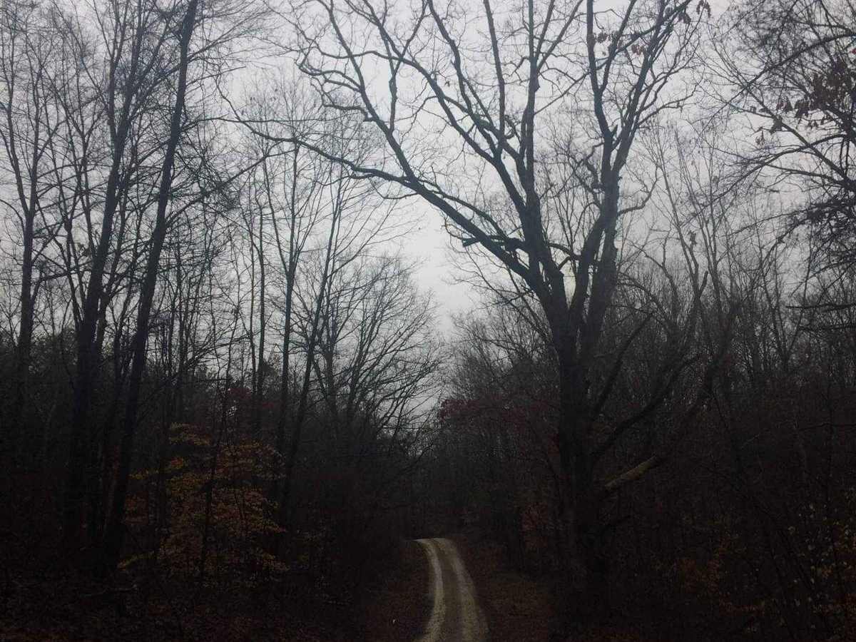 Township 269 photo 3
