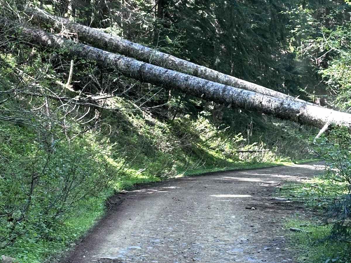 Poch Peak Trail trail photo
