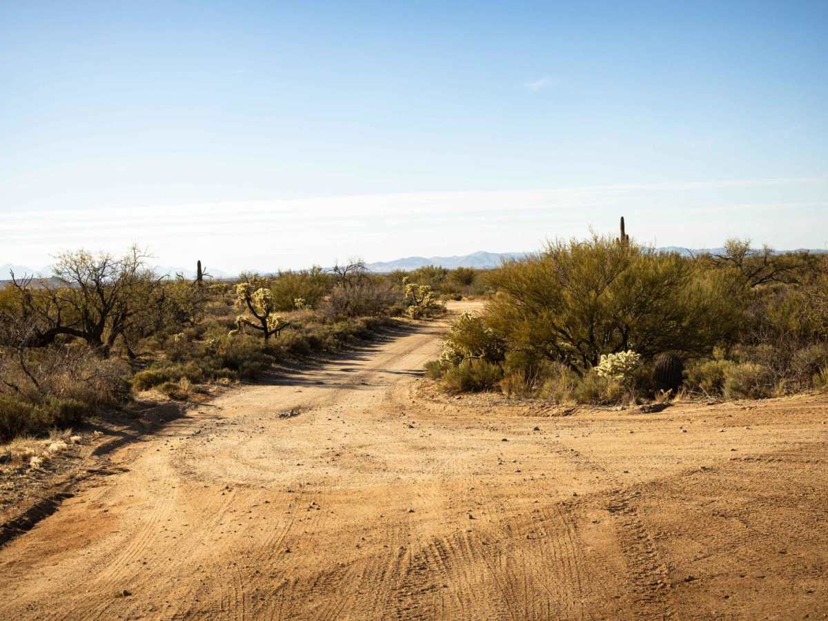 M0780 trail photo