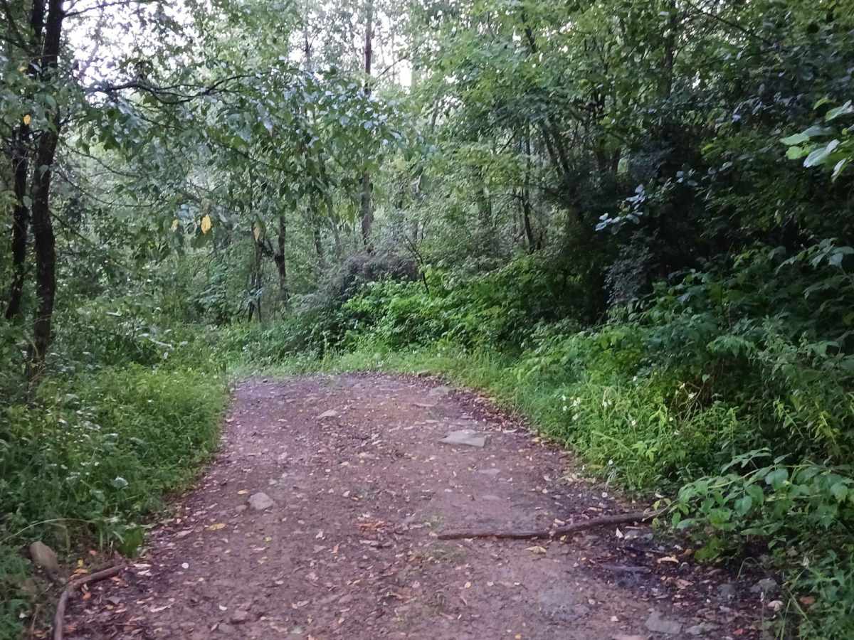 Trail 12J - Rock Run Recreation Area photo 5