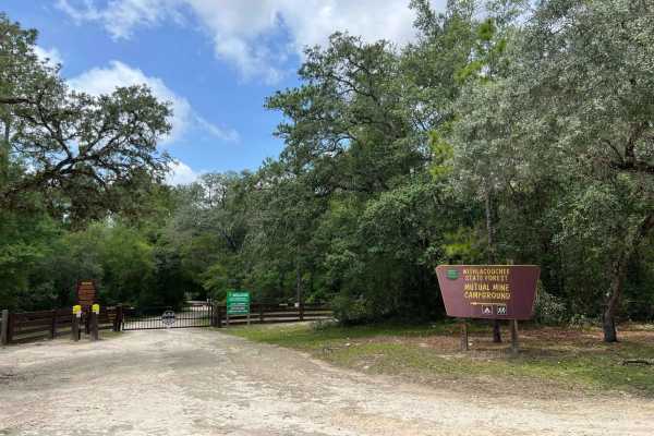 Citrus Wildlife Management | Trail 16