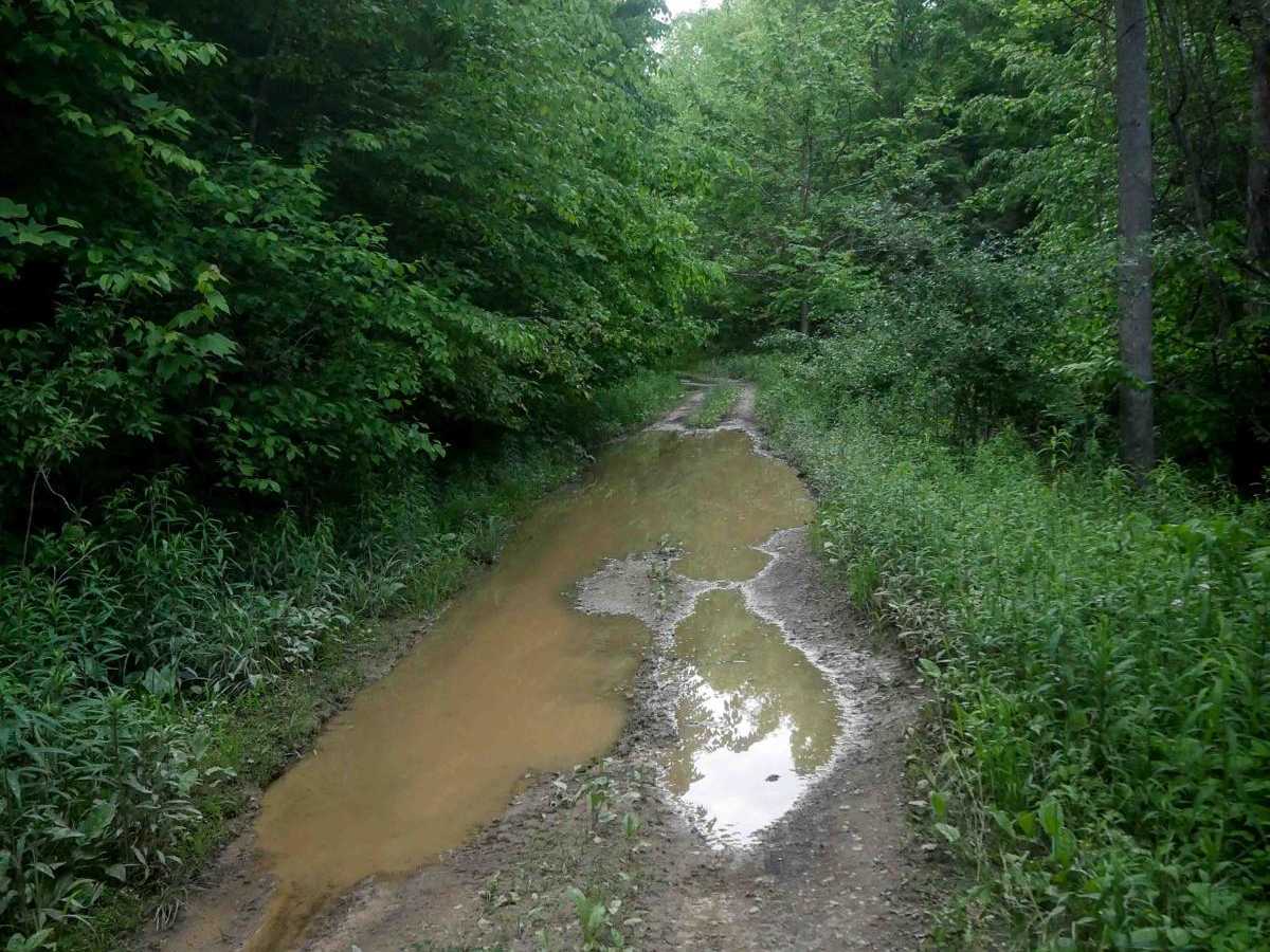 MV17 trail photo