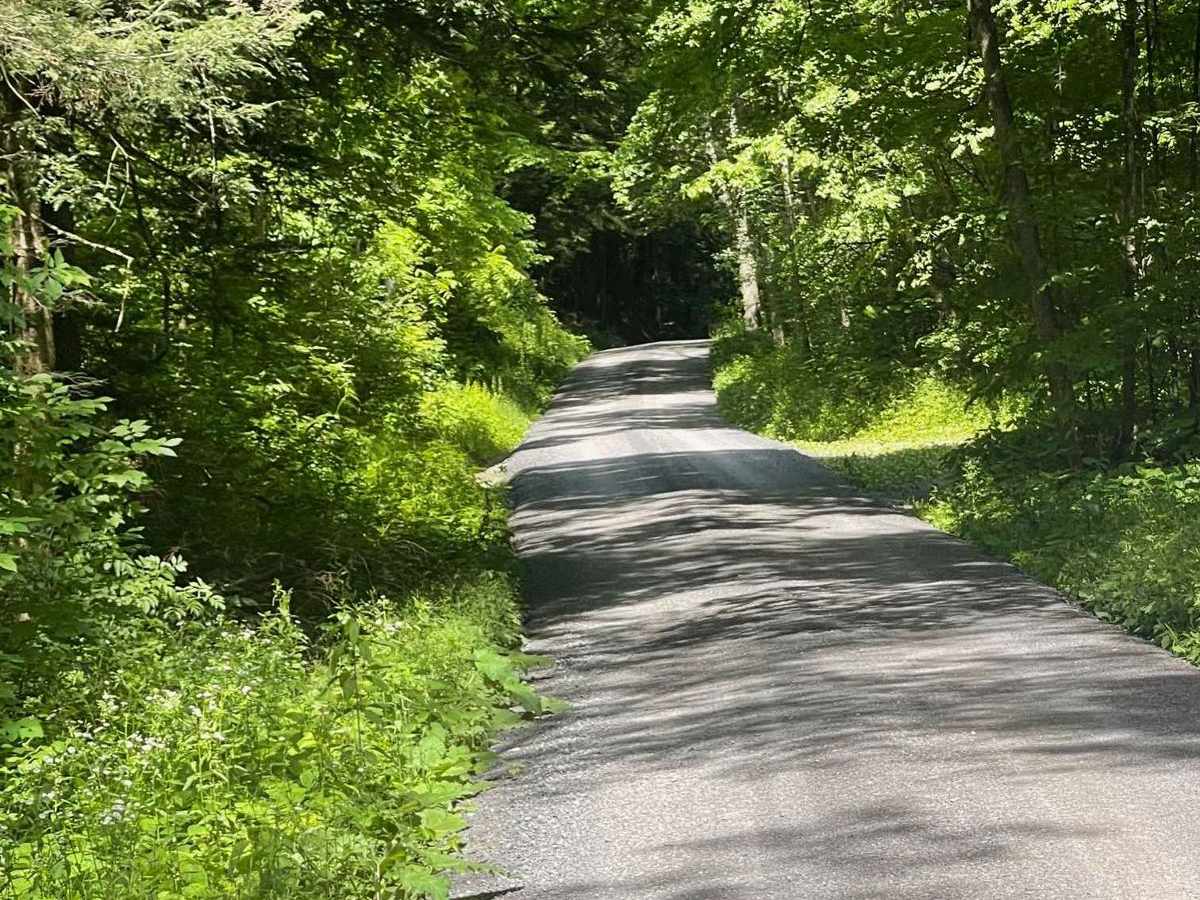 Rocky Ridge Road photo 5