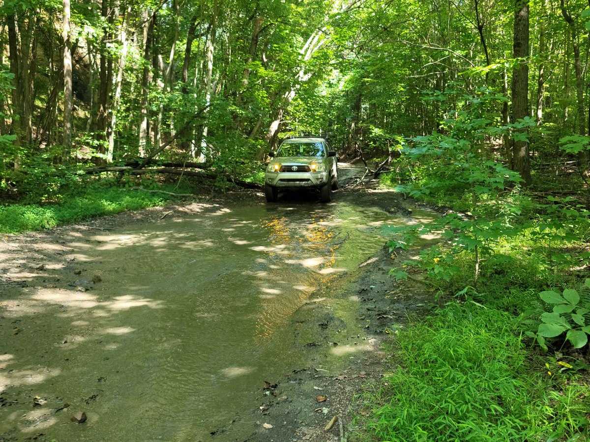 73 - Harness Creek trail photo