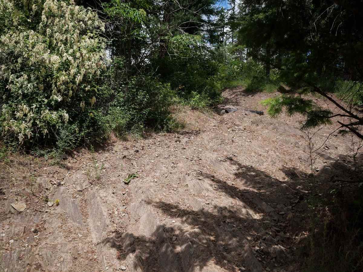 Trail 10 photo 3