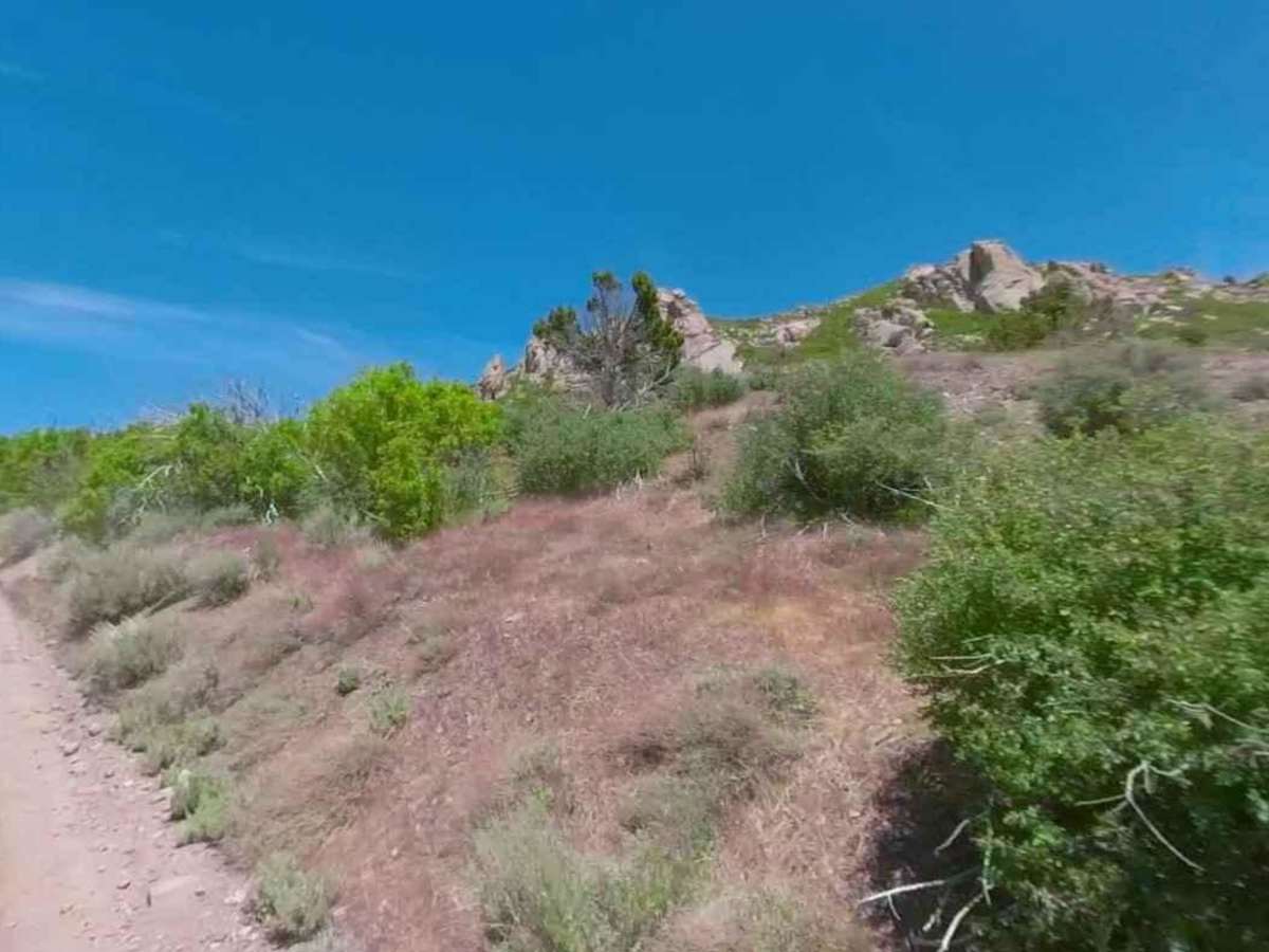 Burnt Canyon-FR30004 photo 4