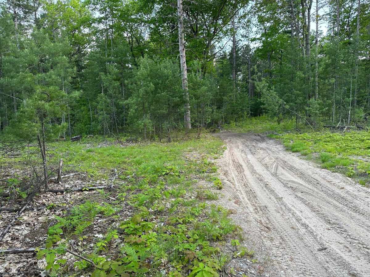 Lake Dubonnet Trail photo 6