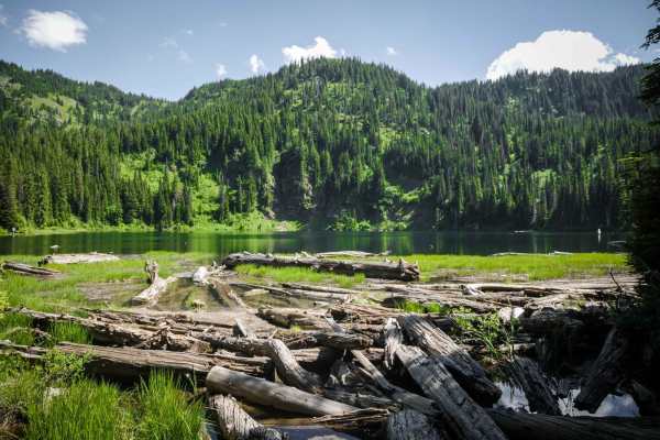 Lake Elsie Ridge ATV