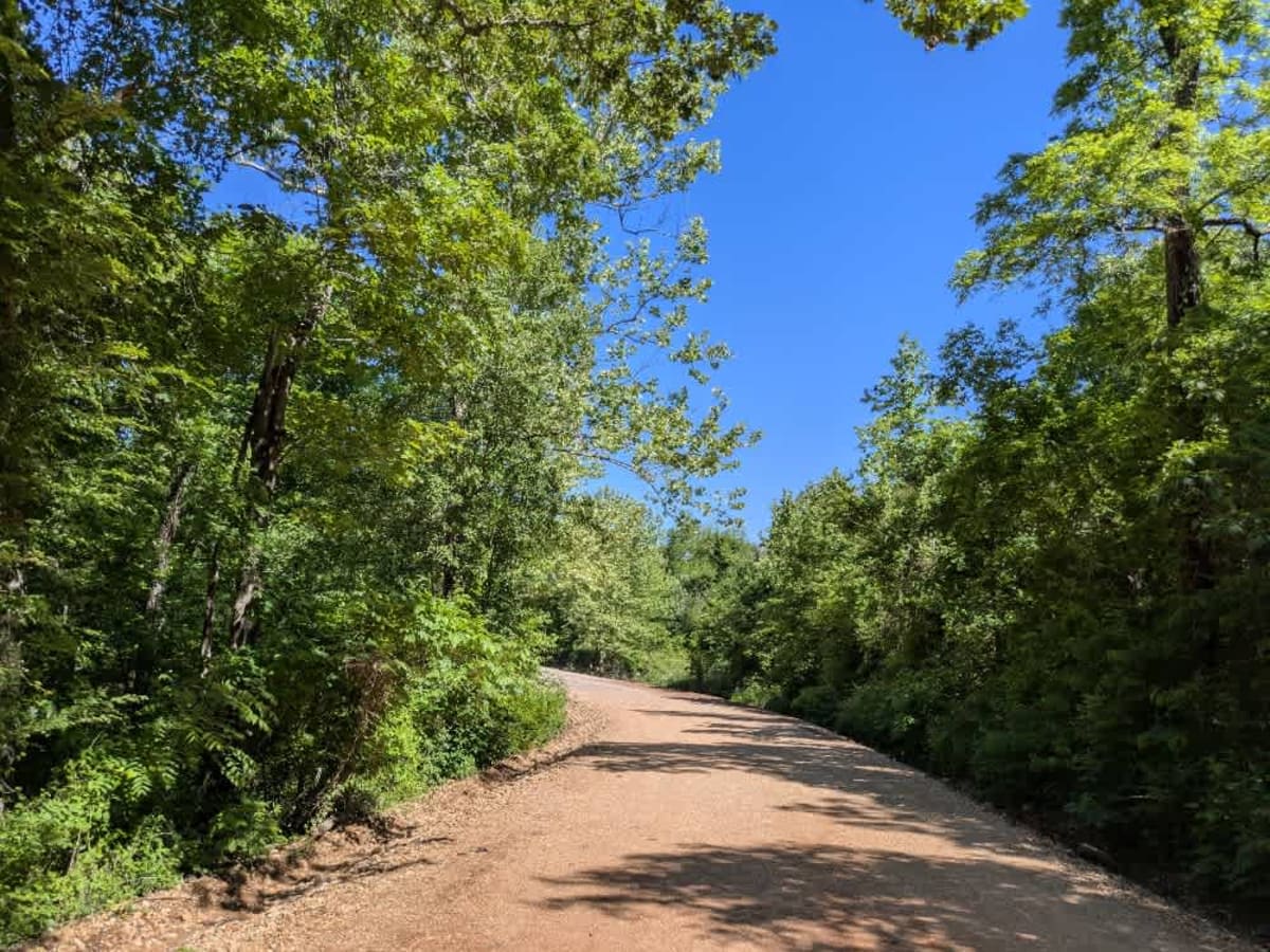 South 490 photo 3
