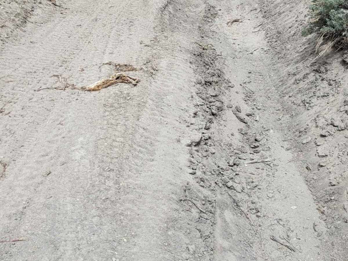 FS3S138C Connector trail photo