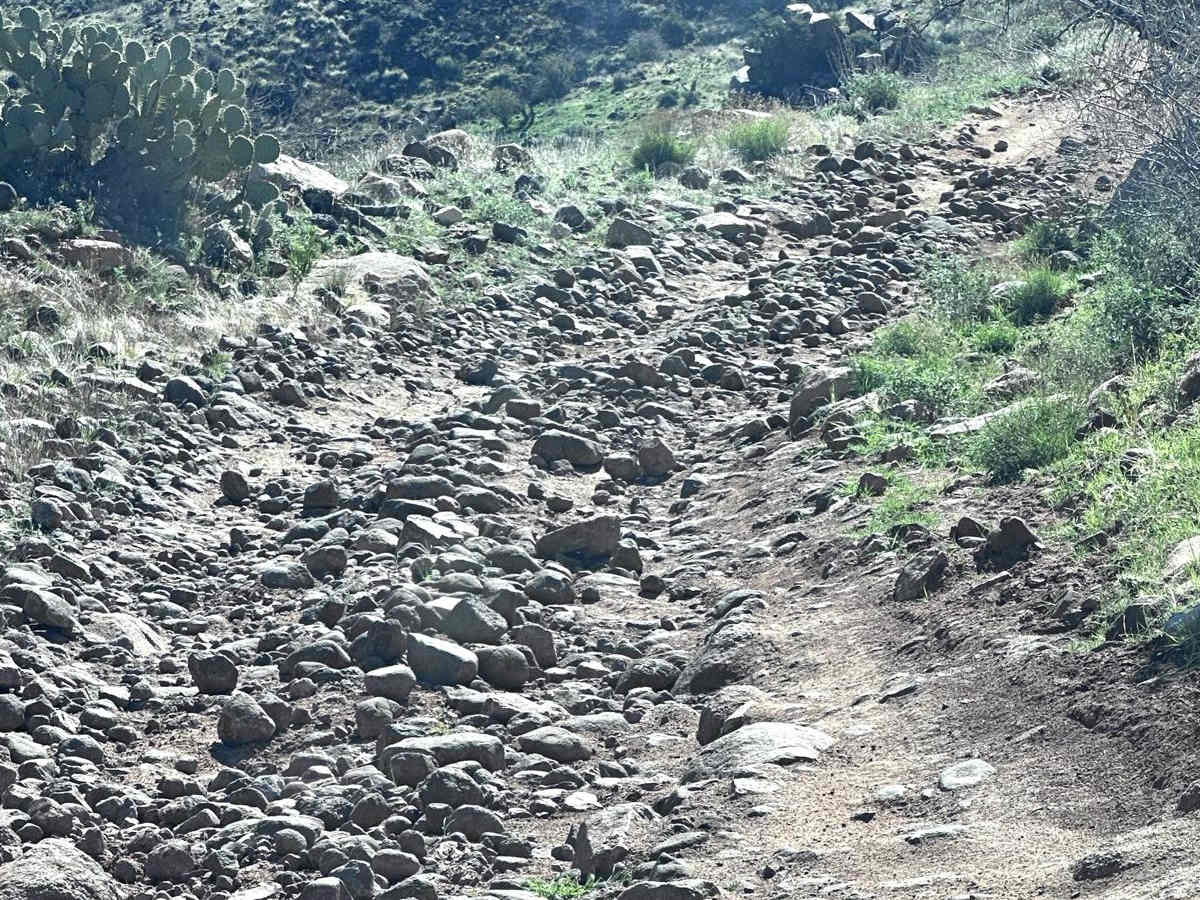 New River Trail photo 6