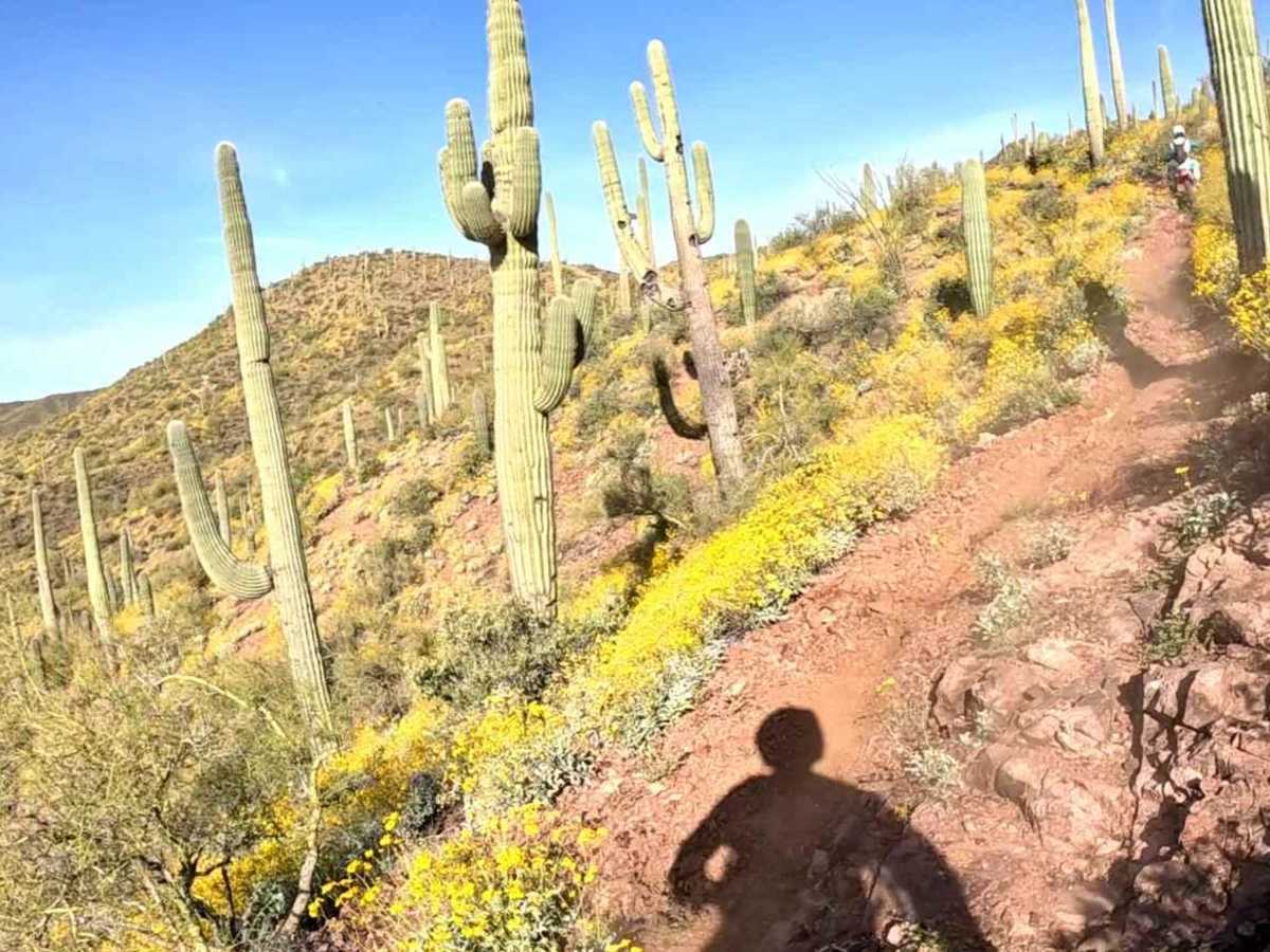 Trail 9412 photo 5