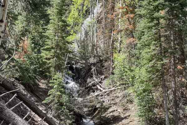 Cascade Creek Falls