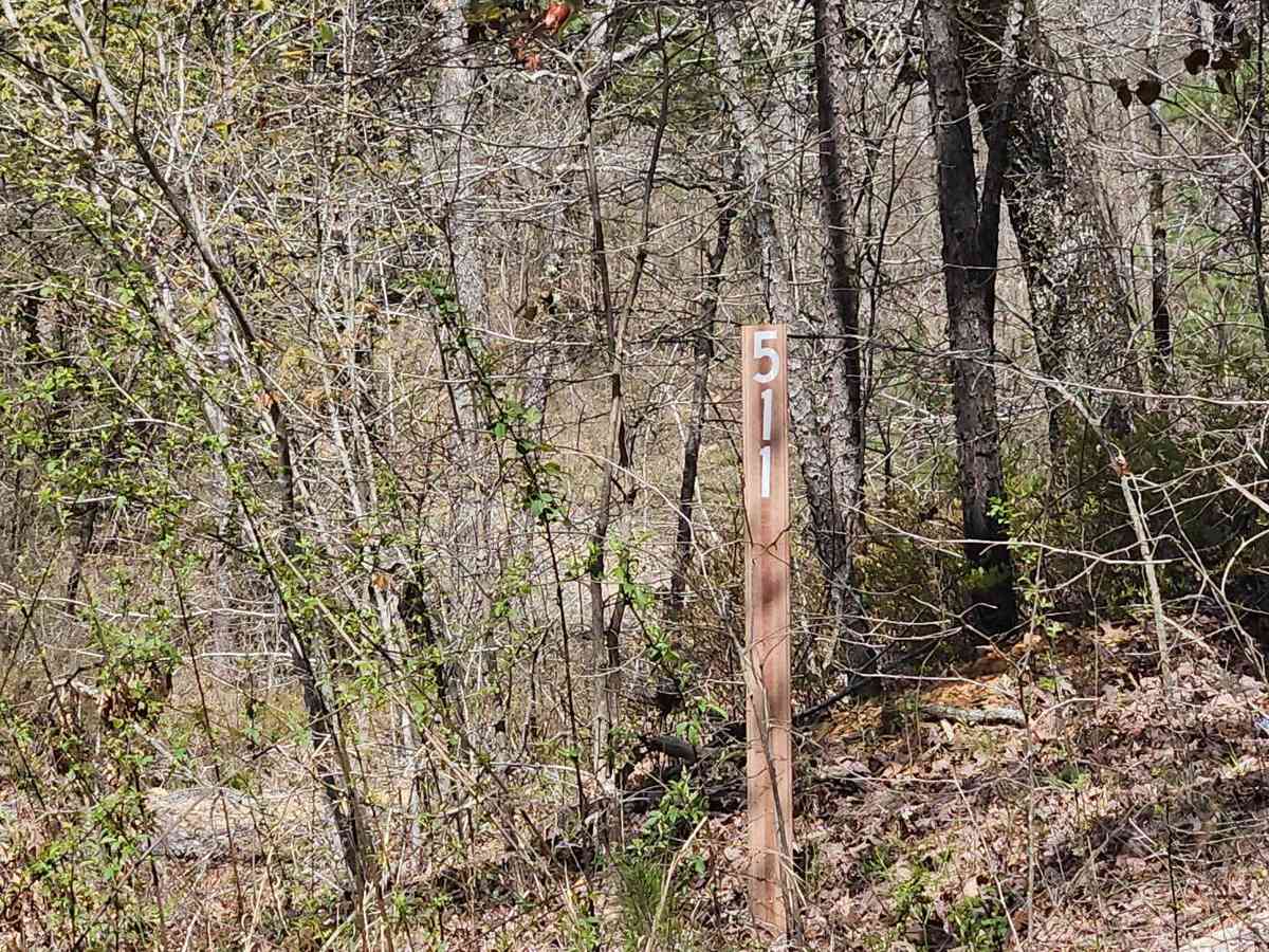 Drew Ridge photo 3