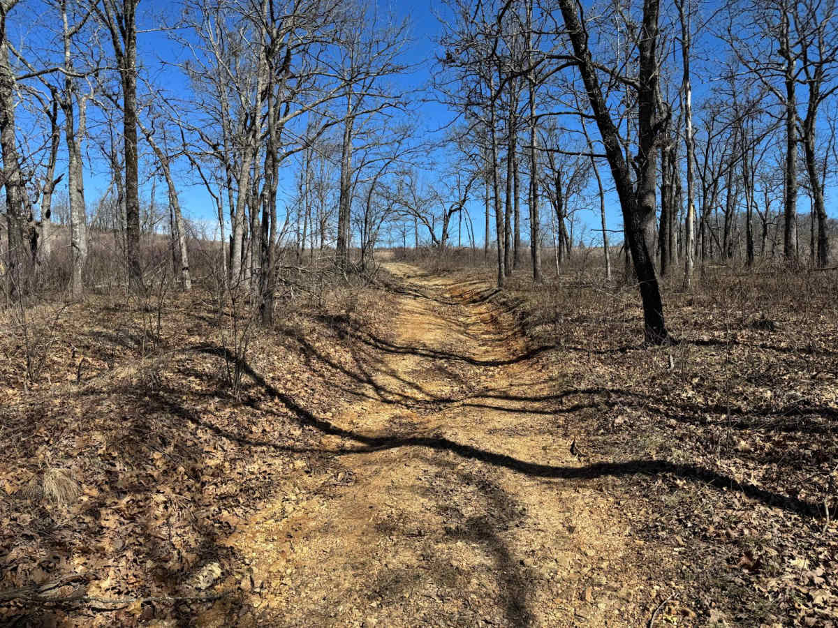 Brushy Ridge Spur B - FSR 606B photo 3