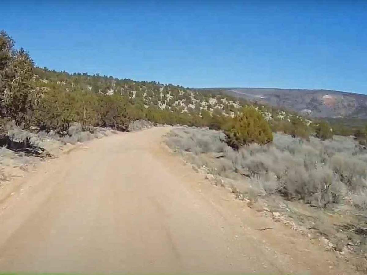 Seegmiller Mountain Road BLM 1020 photo 4