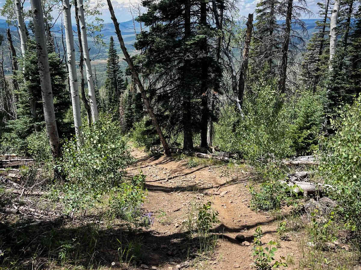 Elkhorn Trail North photo 5