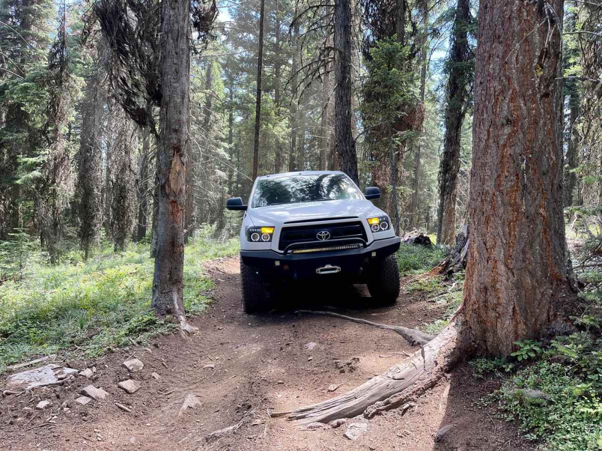 Wild Bill Truman Creek Trail photo 3