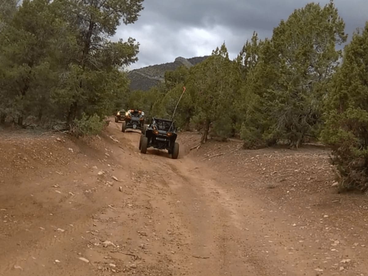 Spring Mountain Recreation Area - Side Trail 01 photo 3