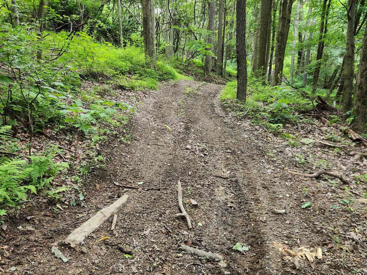 Trail 4B - Rock Run Recreation Area photo 2
