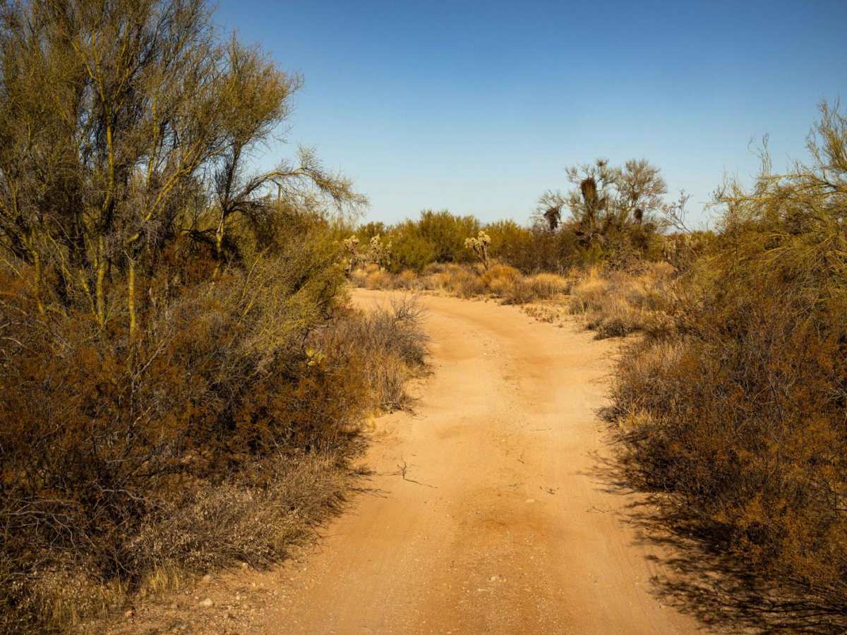 Access Junction photo 6