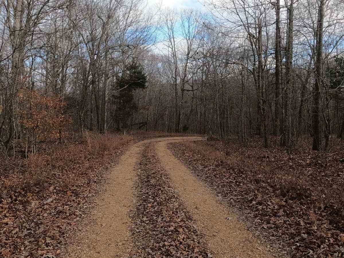 Bald Knob Road - FS 152 photo 3