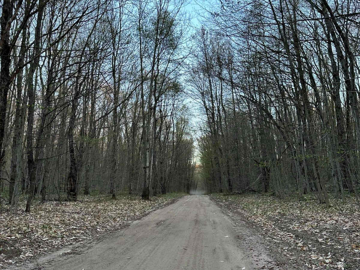 Cadillac Area ORV/OHV Scenic Ride - 7520 photo 2