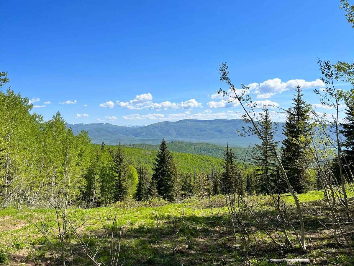 Mud Creek Road - 70150 photo 3