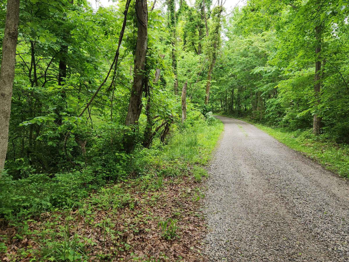 Blacks Run Road photo 2