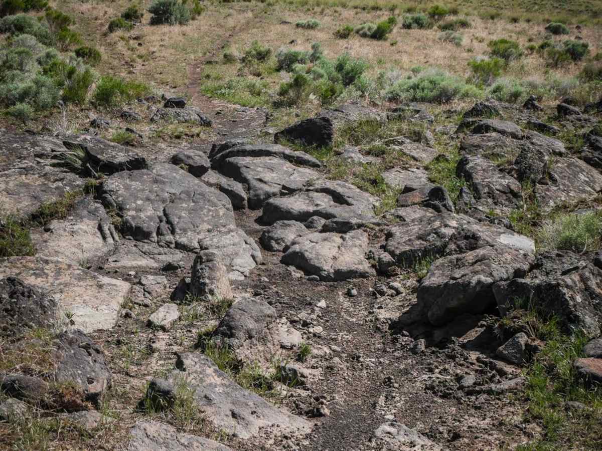 Collaboration trail photo